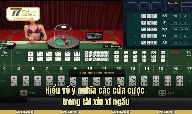 Hiểu về ý nghĩa các cửa cược trong tài xỉu xí ngầu