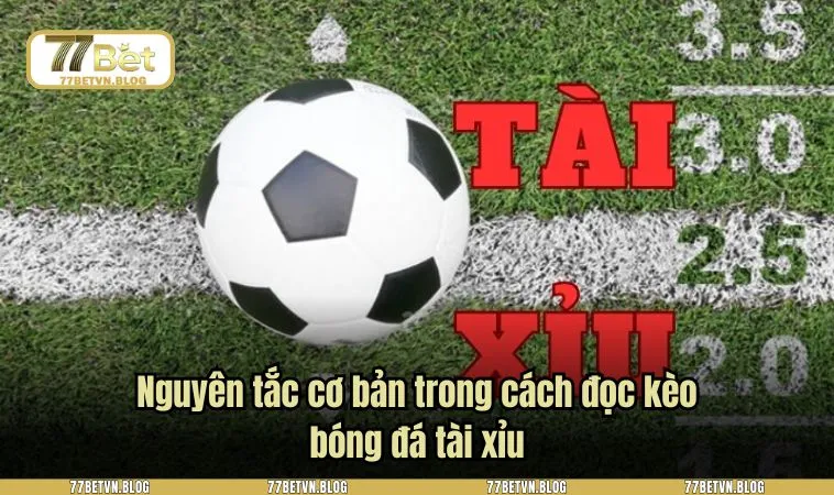 Nguyên tắc cơ bản trong cách đọc kèo bóng đá tài xỉu
