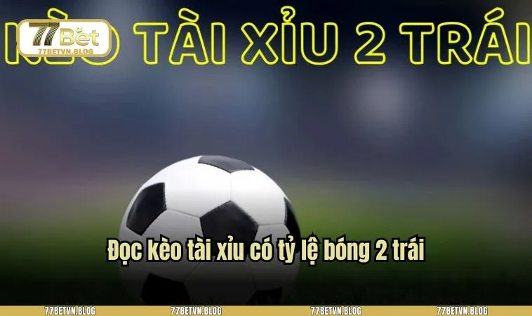 Đọc kèo tài xỉu có tỷ lệ bóng 2 trái