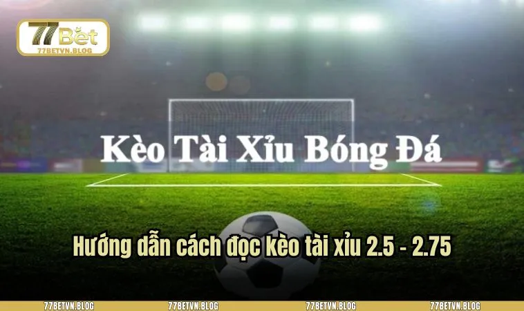 Đọc kèo tài xỉu có tỷ lệ bóng 2 trái