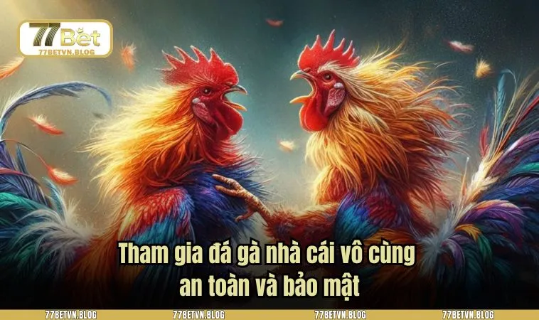 Tham gia đá gà nhà cái vô cùng an toàn và bảo mật